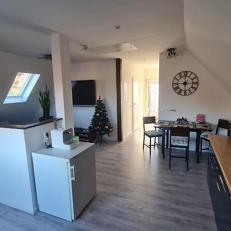 Ferienwohnung Richter Pirna Extérieur photo
